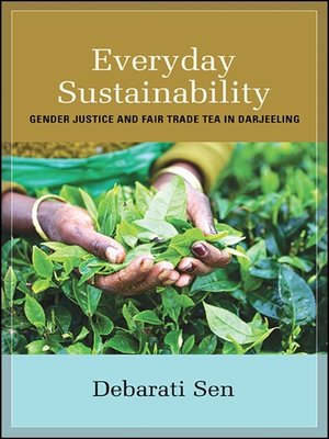 cover image of Everyday Sustainability